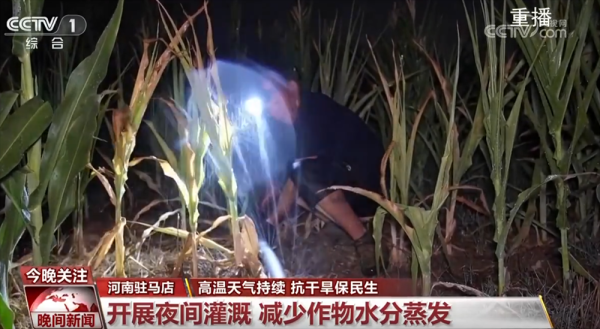 抗干旱保民生在活动，各地多措并举、积极应付为秋粮实时“解暑解渴”