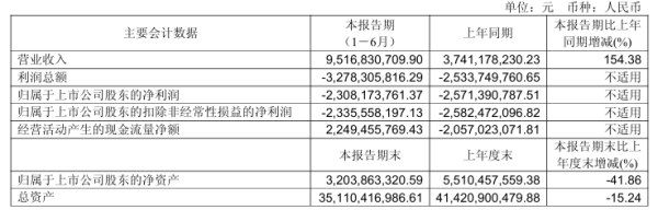 北汽蓝谷上半年营收 95.17 亿元同比增长 154.38%，净吃亏 23.08 亿元